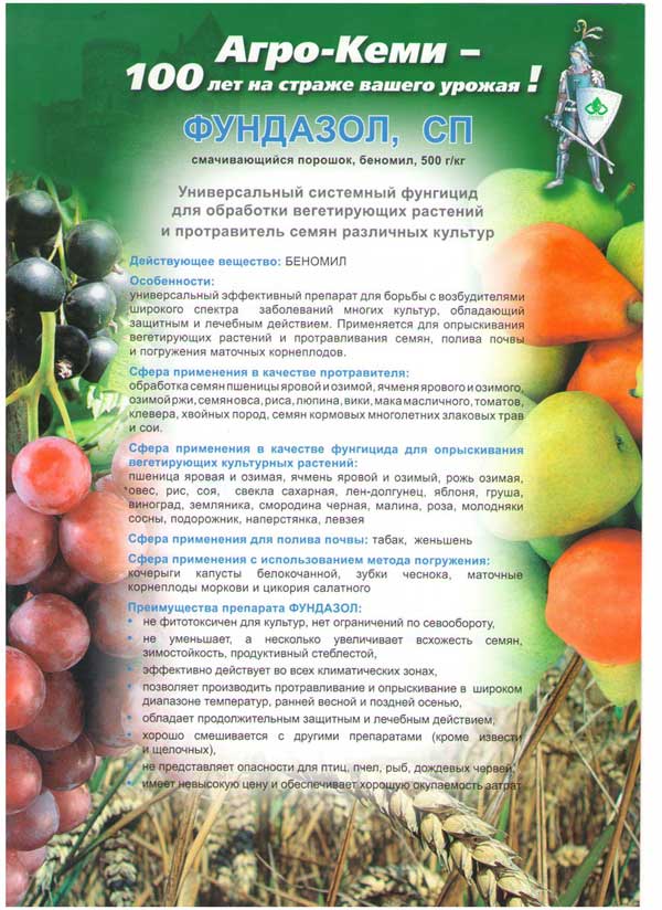 Фундазол -особенности и сфера применения
